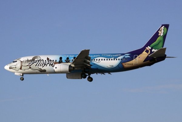 Какие рейсы называют чартерами? Плюсы и минусы их использования