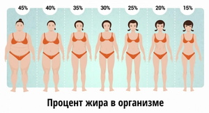 Как похудеть: основные правила