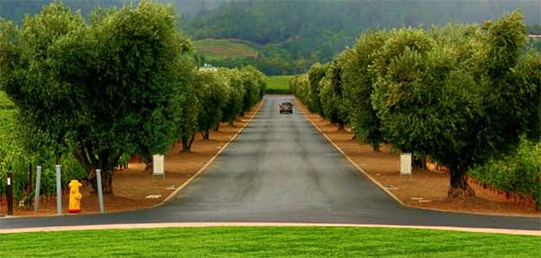 Для чего необходима санитарно-защитная зона