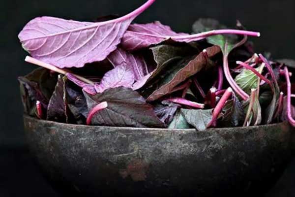 Польза амаранта для здоровья человека