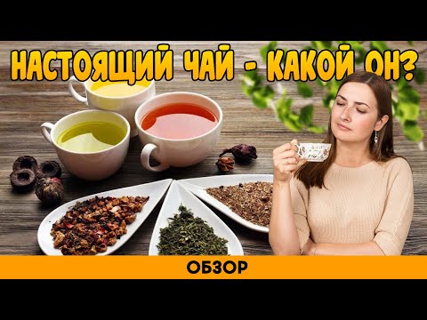 Разновидности чая, польза для здоровья