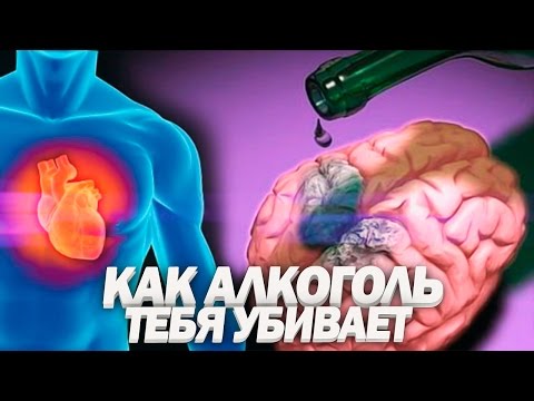 Что приводит к постоянному и продолжительному употреблению алкоголя