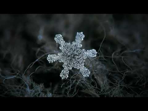 Каждая снежинка уникальна?