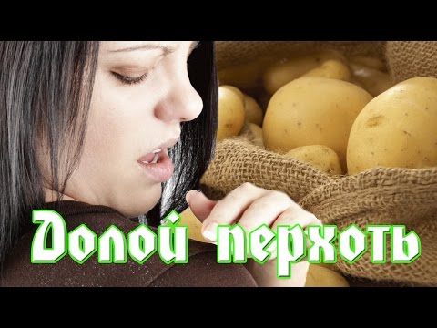 Домашняя маска для волос из картофеля – хит в уходе за волосами