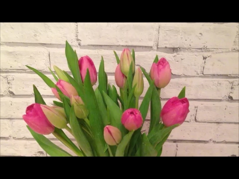 Как продлить свежесть тюльпанов в вазе?