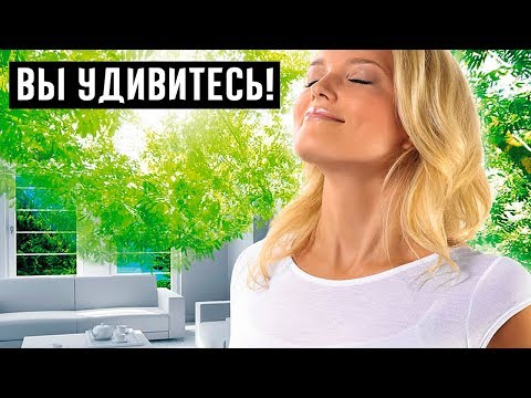 Как добиться красивого аромата в кухонных шкафчиках? Попробуйте это домашнее средство