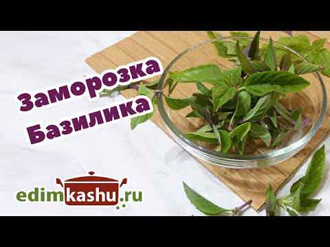Как заморозить базилик? Этот трюк пригодится на кухне