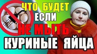 Почему вы никогда не должны пропускать мытье яиц