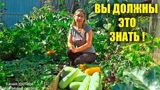 Как хранить кабачки? Это дольше сохранит свежесть