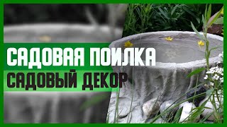 Садовые поилки для птиц | Почему стоит их установить?