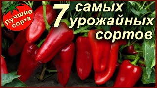 Лучшие сорта перца и идеи вкусных блюд