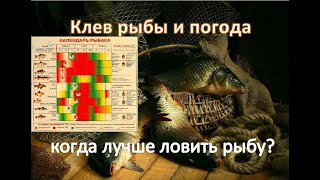 Советы по рыбалке в холодную погоду
