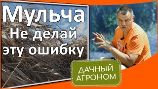 Как использовать мульчу, чтобы сохранить ваш сад в засуху