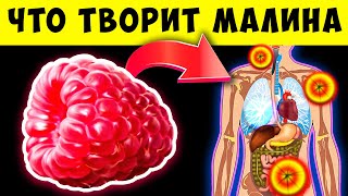 Почему стоит есть малину?