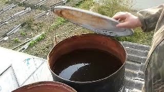 Что делать, чтобы дождевая вода не зацвела?