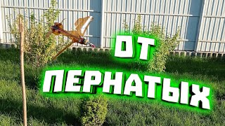 Зачем отпугивать птиц?