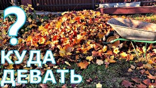 Зачем сгребать листья и что с ними потом делать?