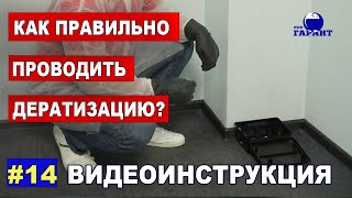 Уборка и дезинфекция после заражения грызунами