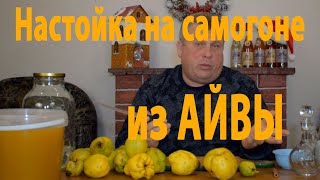Настойка из плодов айвы – этот простой рецепт стоит знать