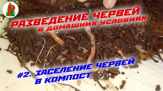 В компосте нет дождевых червей: что делать?