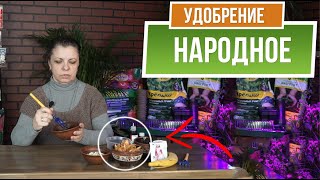 Удобрение горшечных растений без химии