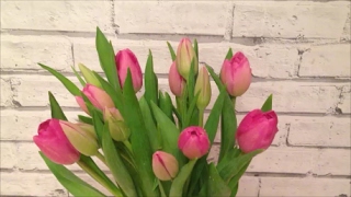 Как ухаживать за тюльпанами в вазе?
