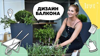 Круглогодичные балконные растения