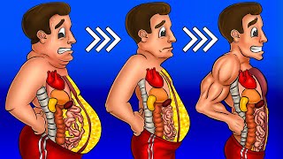 Как быстро убрать живот? 9 самых важных правил