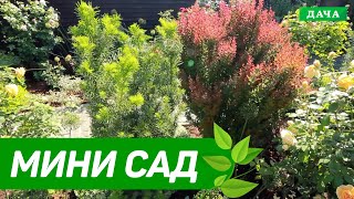 3 важных правила планировки маленького сада