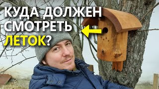 Гнездовья для птиц | Как они должны выглядеть? Где повесить?