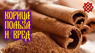 Приготовьте экстракт корицы всего из двух ингредиентов