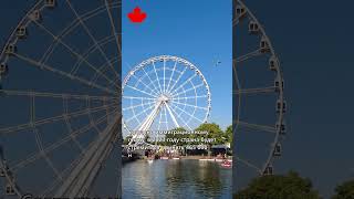 Зачем Канаде иммигранты?