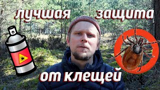 Всего несколько капель такого травяного настоя защитят от клещей