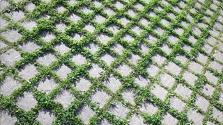 Как избавиться от сорняков с брусчатки?