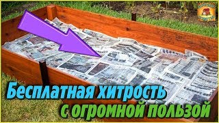 Борьба с сорняками: вы можете использовать газету
