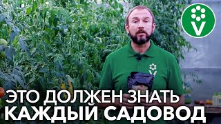 Как разводить и применять железный купорос