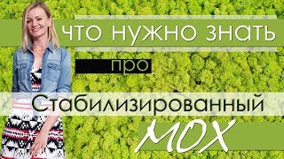 Стабилизированный мох: идеальное решение для уютного интерьера