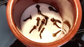 Сосновые шишки - приятный освежитель воздуха в доме