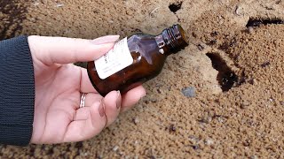 Муравьи в саду? Естественные и безопасные способы борьбы с муравьями