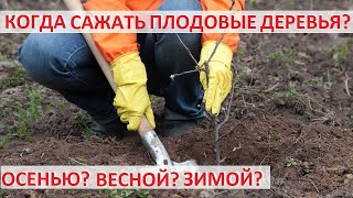 Сезонные сочетания: что сажать в весенне-летний и осенне-зимний периоды